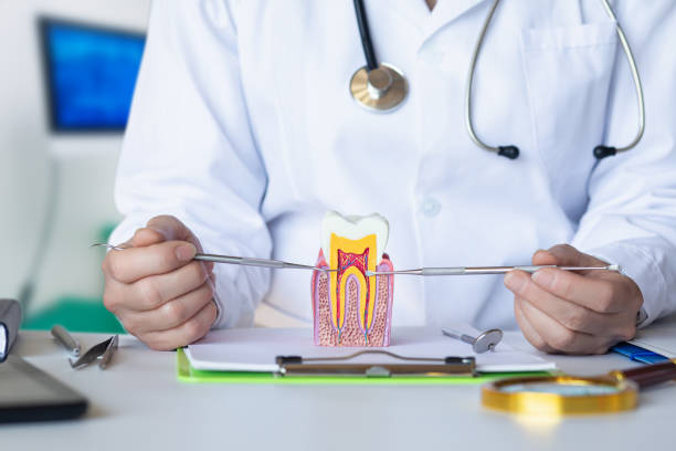 Best Root Canal Emergency Dentist  in Rocky River, OH